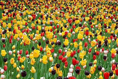 《剑星》PC版新服装截图 女主穿性感旗袍展示好身材