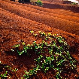 《女神全部锁定我》Steam页面上线 年内发售